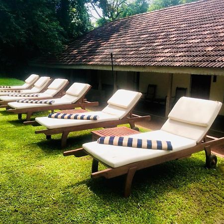 Ekho Sigiriya Otel Dış mekan fotoğraf
