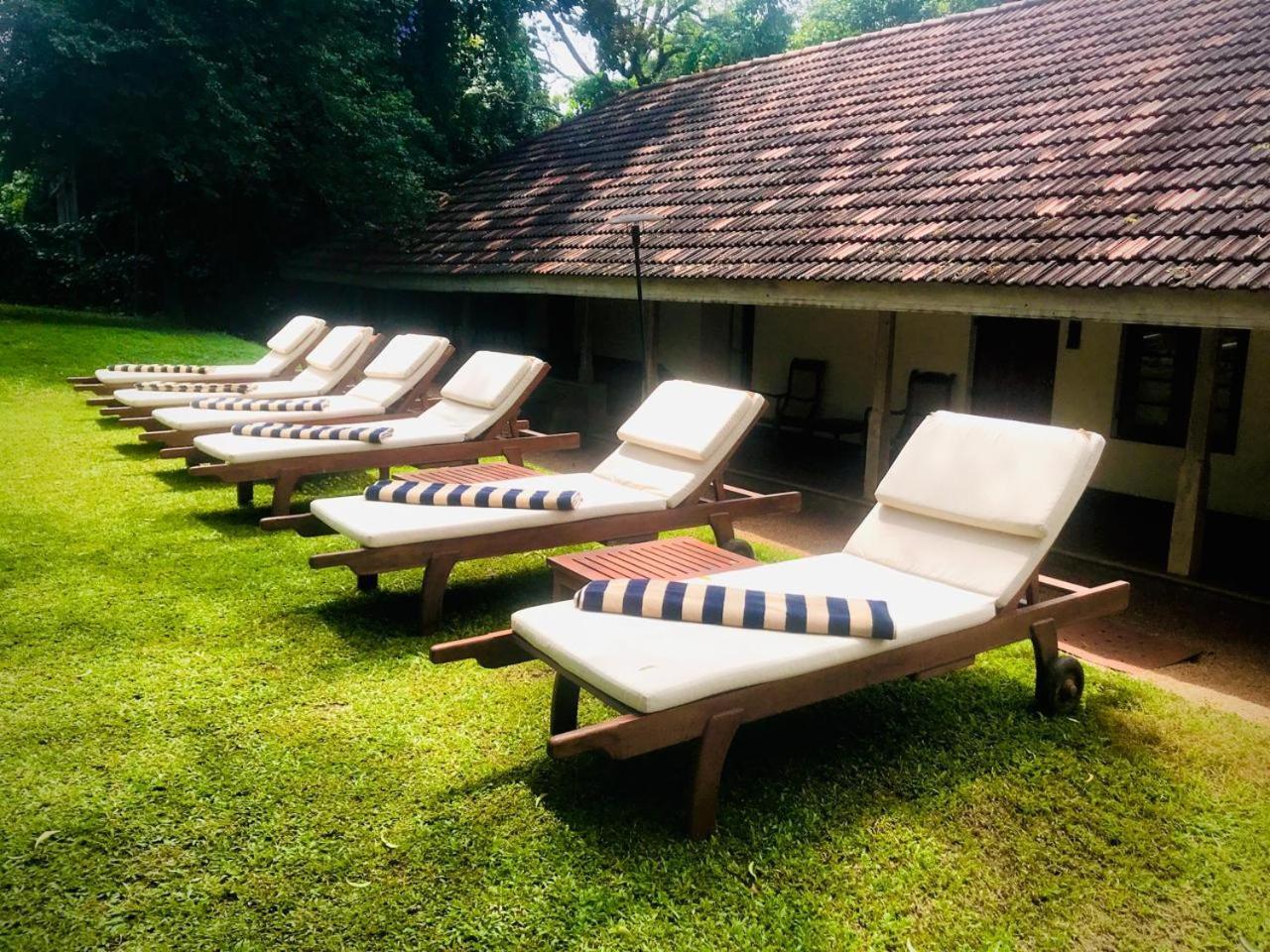 Ekho Sigiriya Otel Dış mekan fotoğraf