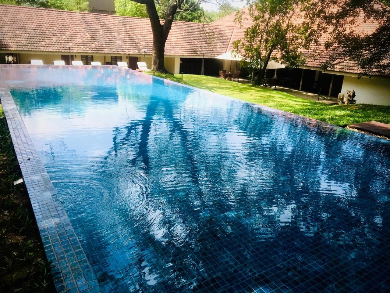 Ekho Sigiriya Otel Dış mekan fotoğraf
