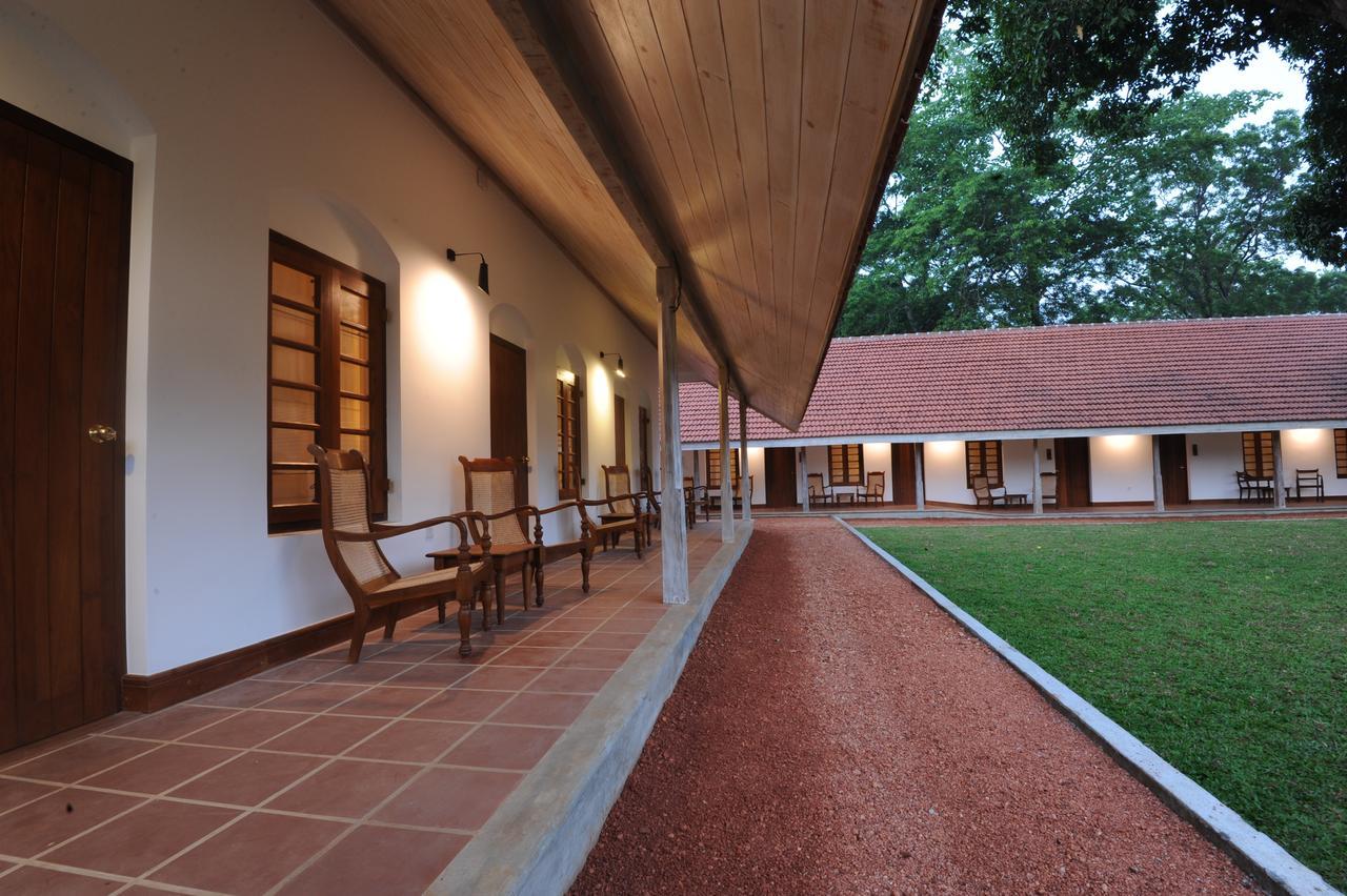 Ekho Sigiriya Otel Dış mekan fotoğraf