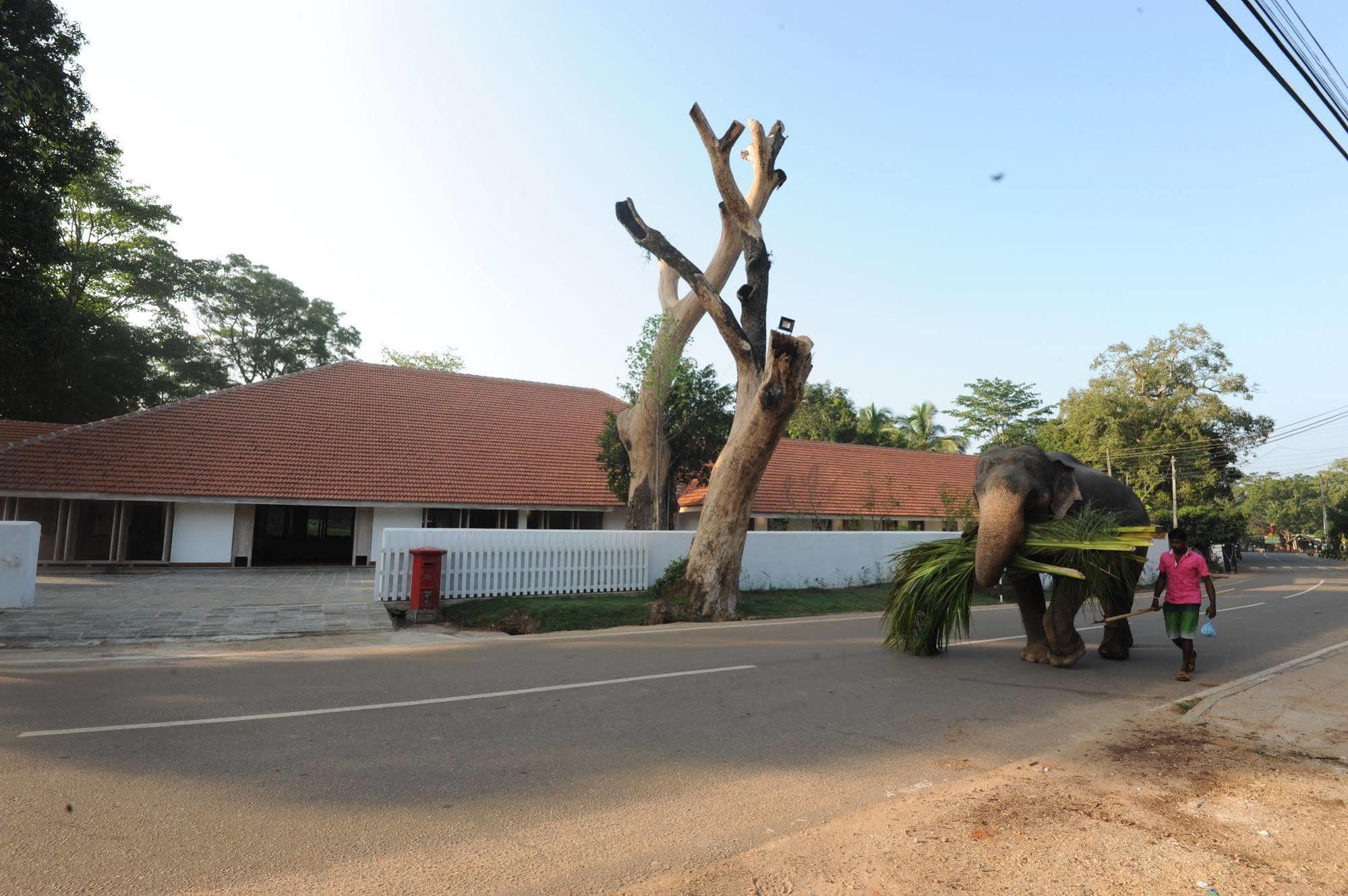 Ekho Sigiriya Otel Dış mekan fotoğraf